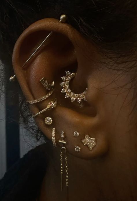 Earnings